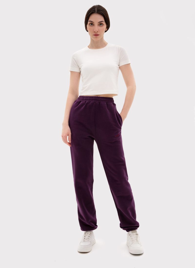 Брюки джоггеры Classic Nikasport, W5CL83-PLU, цвет сливовый